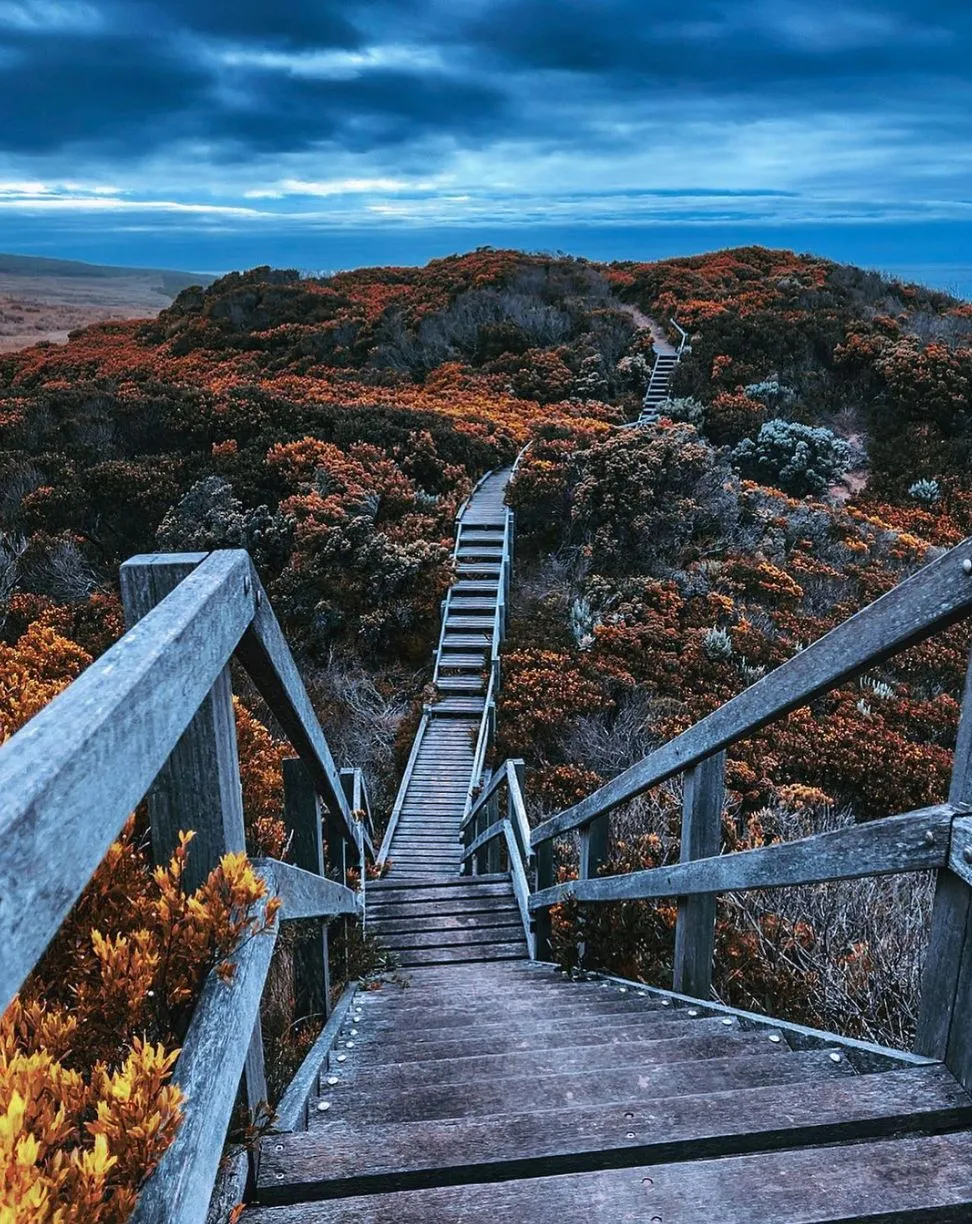 Escape to Blanket Bay: Exploring Victoria’s Hidden Coastal Paradise