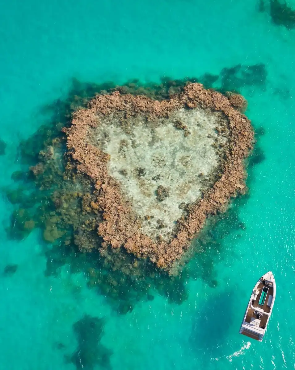 Turistic Service | The 'Sleep on the Reef' Guide: Comparing Reefsleep vs. Luxury Liveaboards Reef Sleep at Hardy Reef – Simple, Social and No Fuss