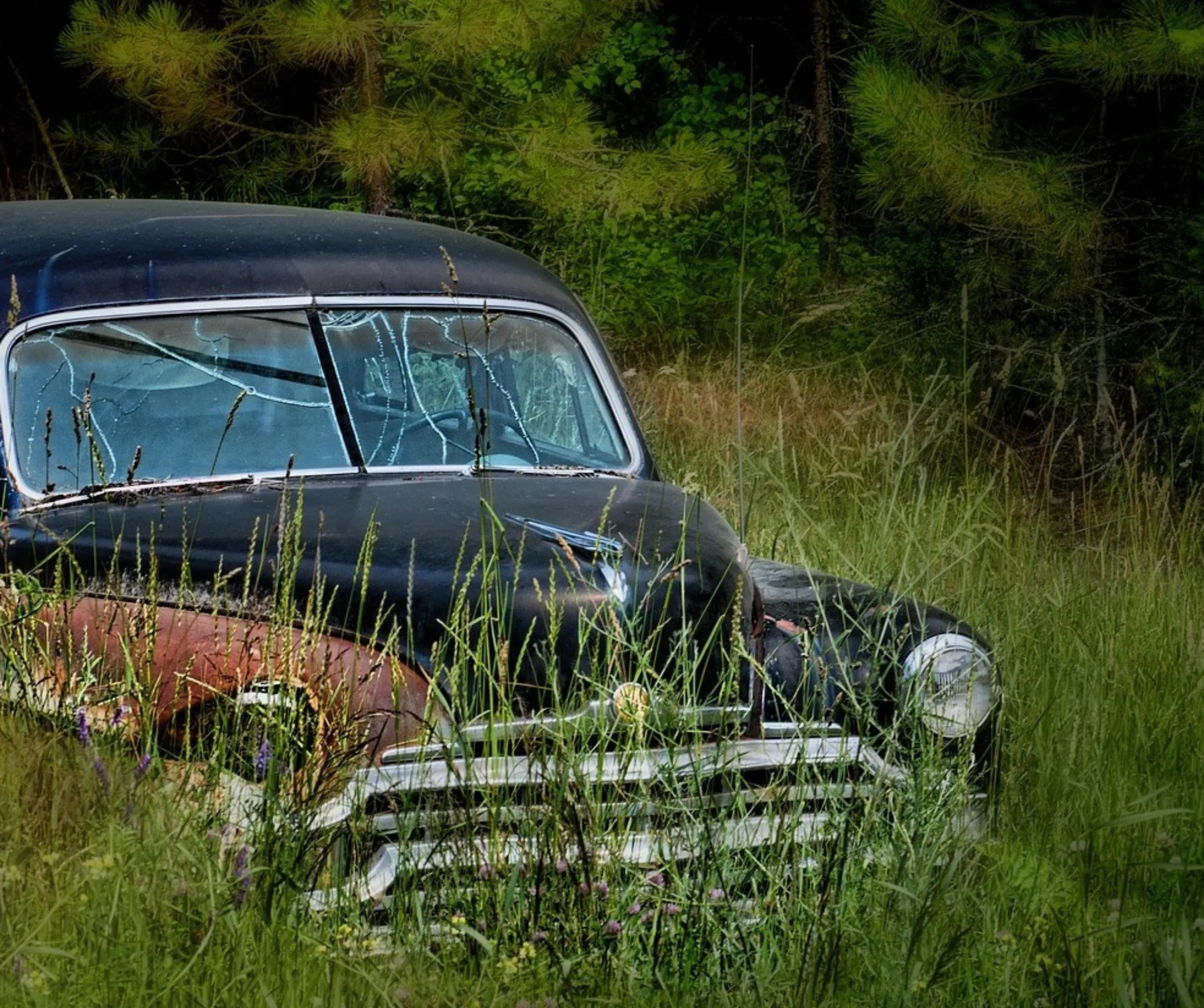 Should You Keep a 20-Year-Old Car? Costs & Options