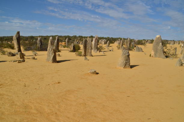 Pinnacle Discovery: Uncover the Wonders of the Pinnacles on an Exciting Tour