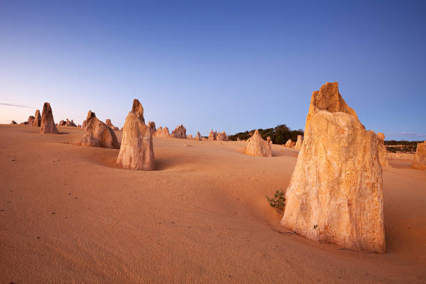 The Peak Adventure: Explore the Pinnacles Like Never Before