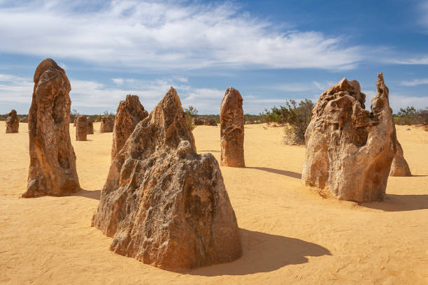 Turistic Service | Explore the Pinnacles Loop - A Guided Journey Through Majestic Landscapes