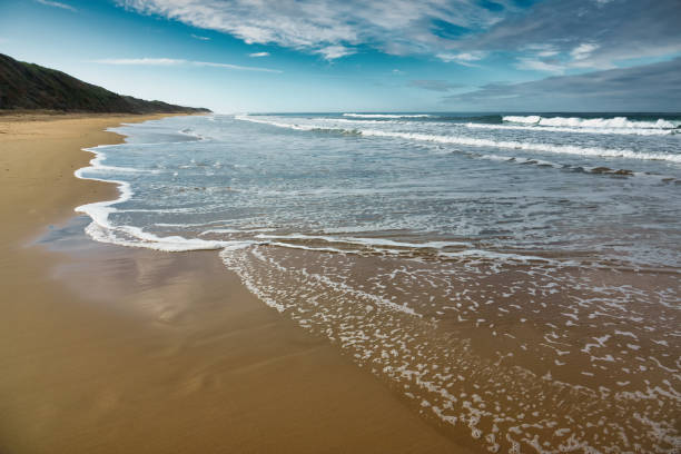 Embark on an Unforgettable Journey Along the Breathtaking Great Ocean Road