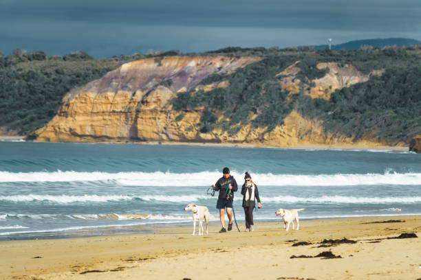 Explore Anglesea: Uncover the Charms of This Great Ocean Road Gem