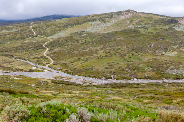 Experience Ultimate Camping in the Snowy Mountains at Kosciuszko National Park