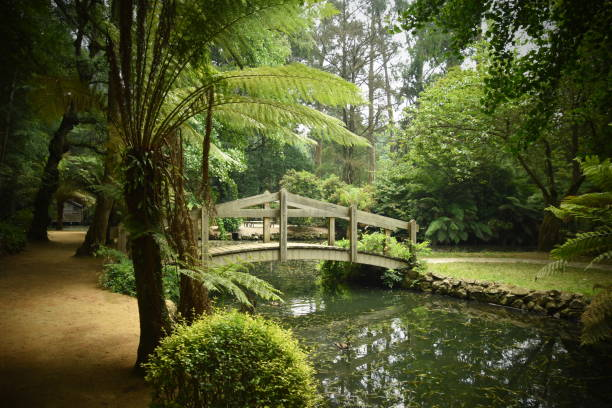 Prime Season to Explore Dandenong Ranges Botanic Garden